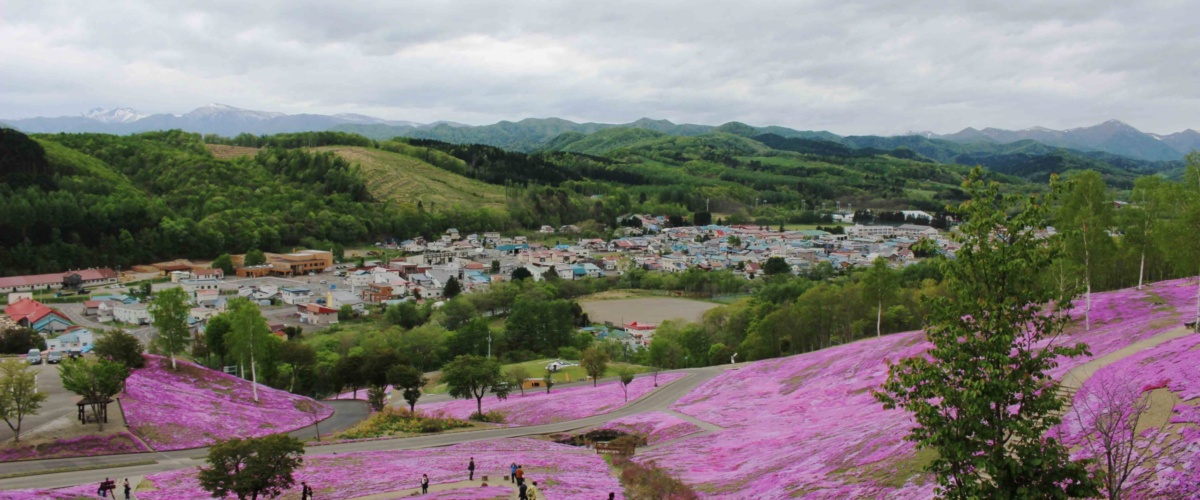 A journey through Northern Japan